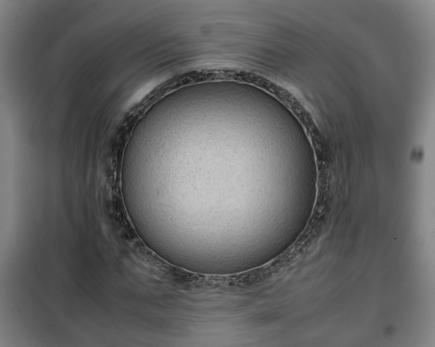 X0000100190871200806061256