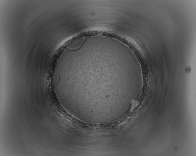 X0000100190872200806061256