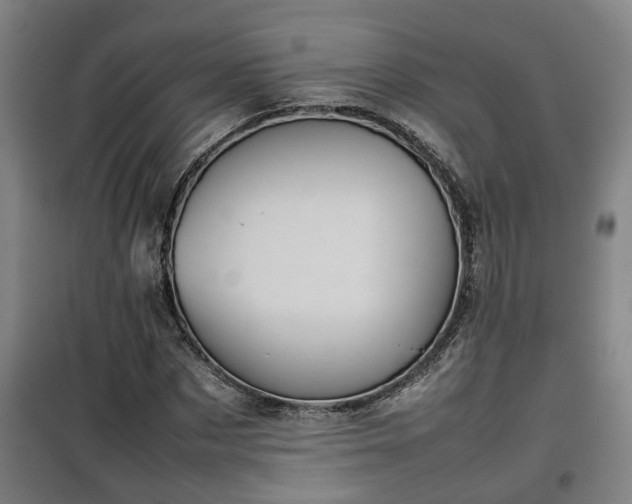 X0000100190873200806061256