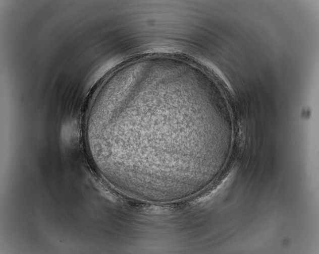 X0000100190874200806061256