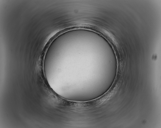 X0000100190875200806061256