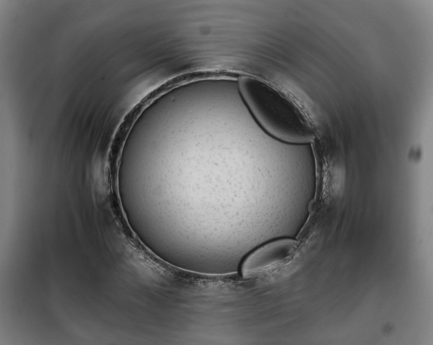 X0000100190876200806061256