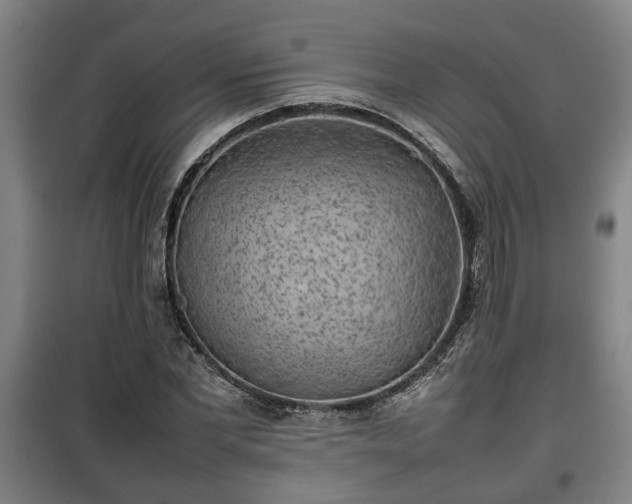 X0000100190877200806061256