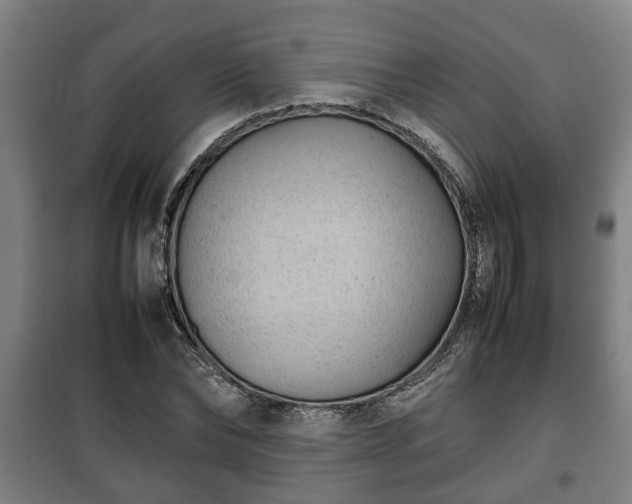 X0000100190878200806061256