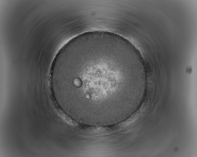 X0000100190879200806061256