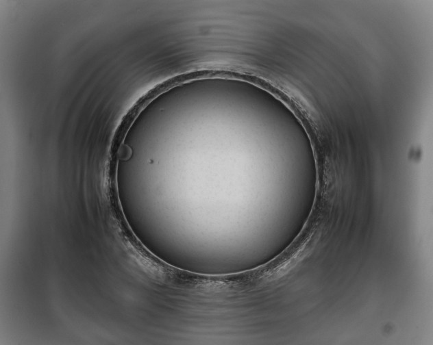 X0000100190880200806061256