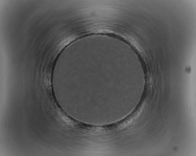 X0000100190881200806061256