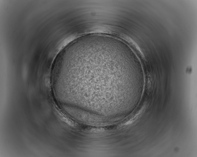 X0000100190882200806061256