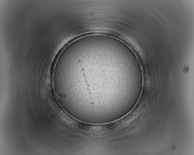 X0000100190883200806061256