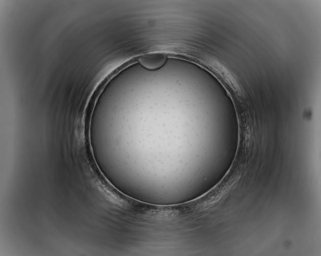 X0000100190884200806061256