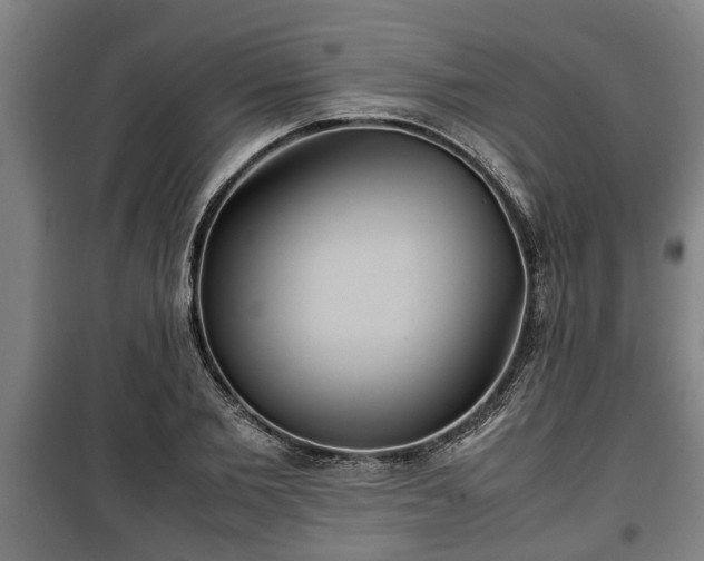 X0000100190885200806061256