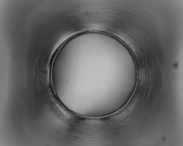 X0000100190886200806061255