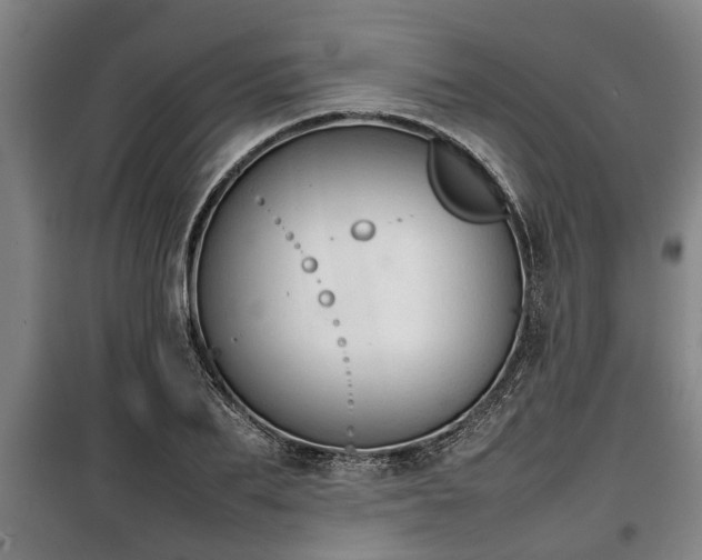 X0000100190887200806061255