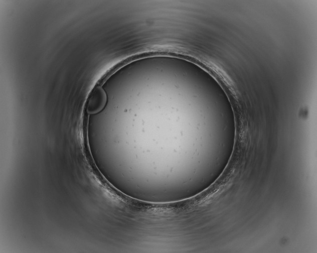 X0000100190888200806061255