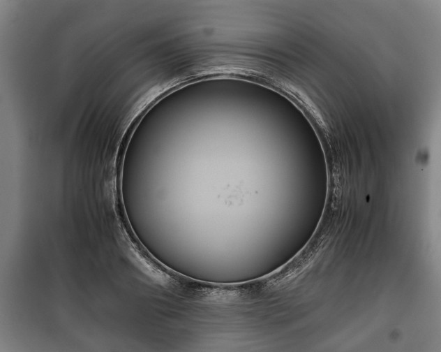 X0000100190890200806061255