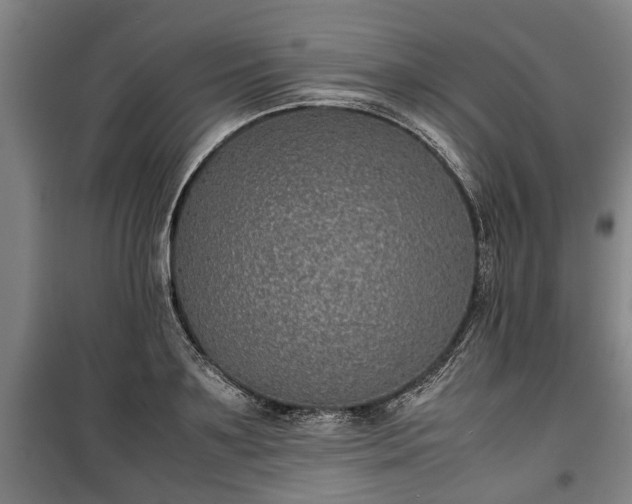 X0000100190891200806061255