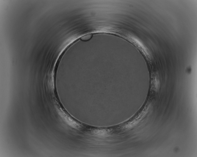 X0000100190892200806061255