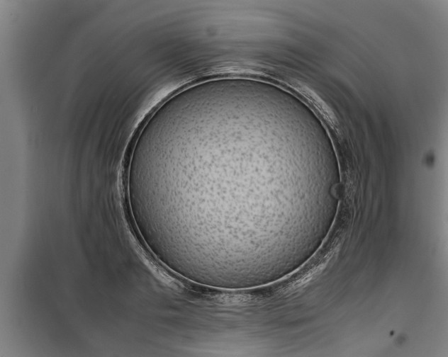 X0000100190893200806061255