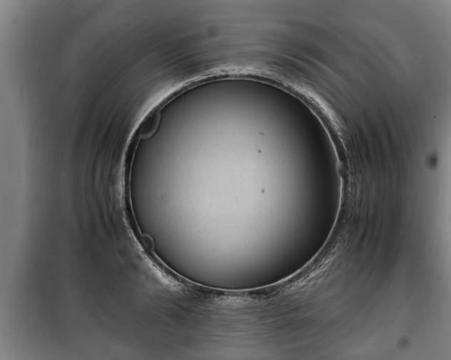 X0000100190894200806061255