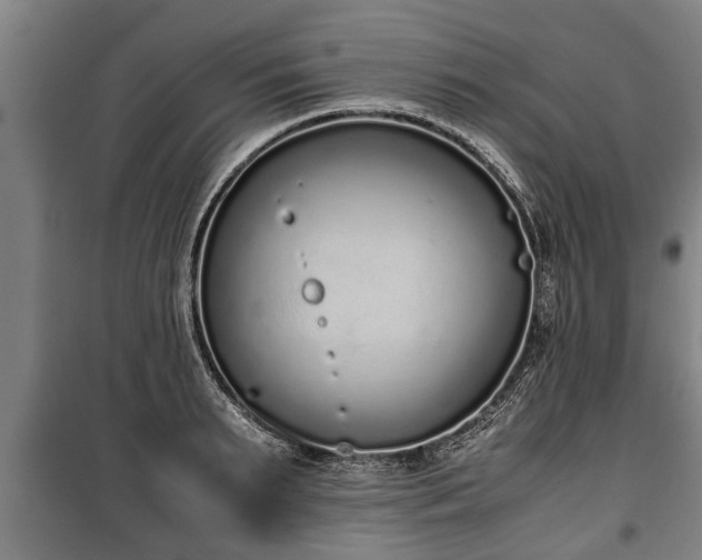 X0000100190895200806061255