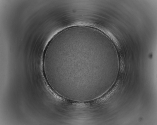 X0000100190896200806061255