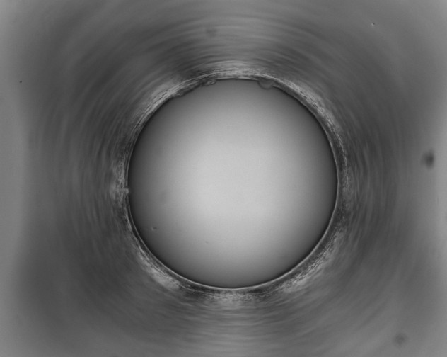 X0000100190897200806061255