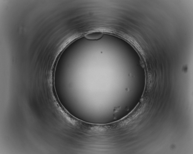 X0000100190898200806061255