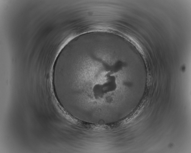 X0000100190899200806061255