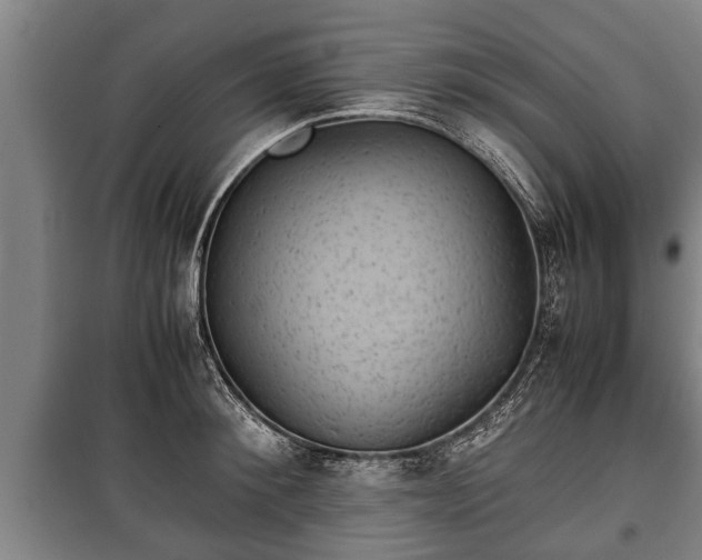 X0000100190900200806061255