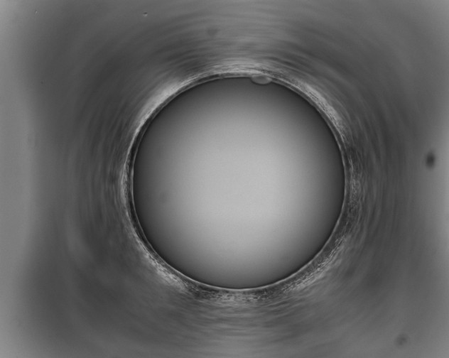 X0000100190901200806061255