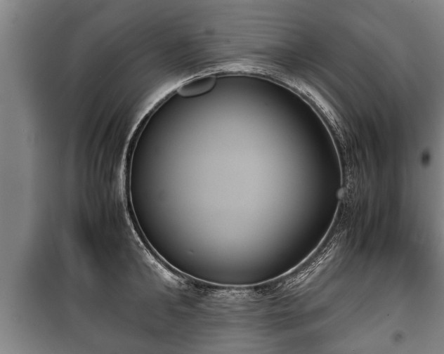 X0000100190902200806061255