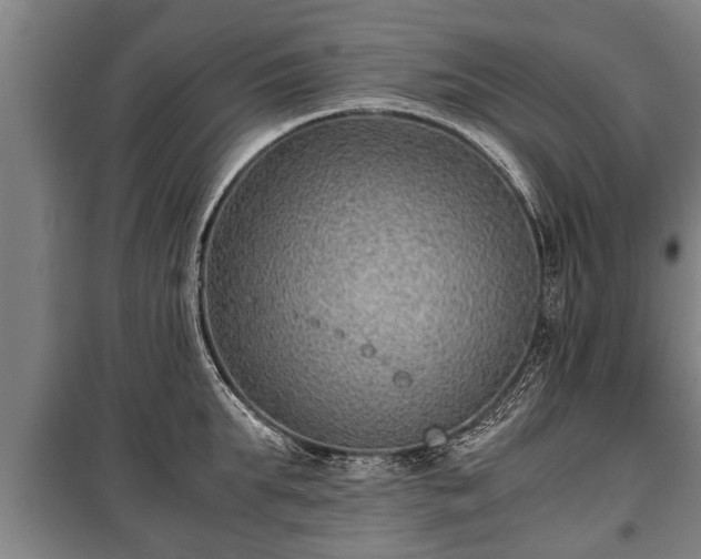 X0000100190903200806061255