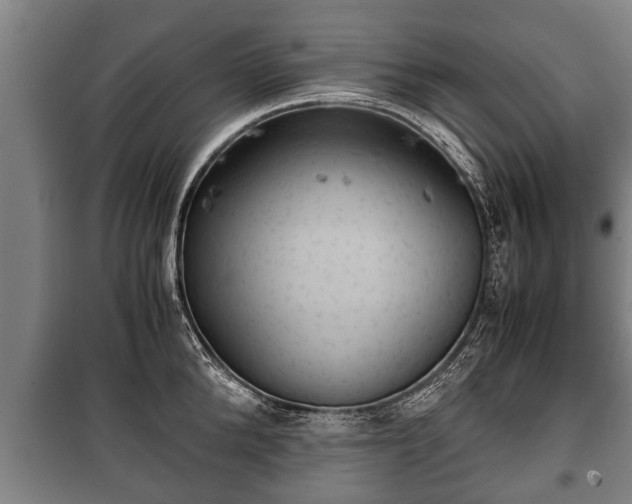 X0000100190904200806061255