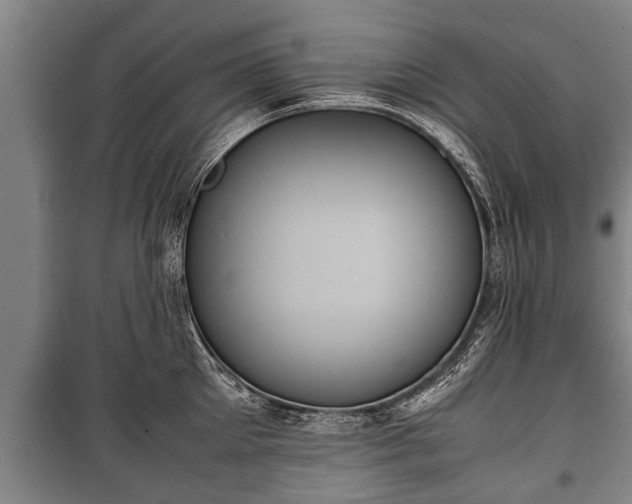 X0000100190905200806061255