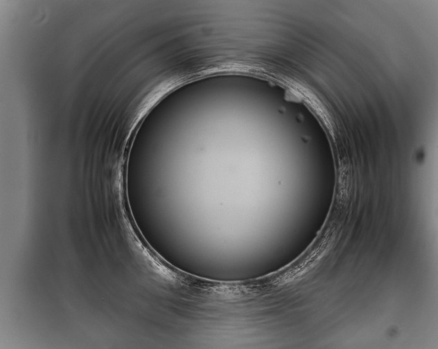 X0000100190906200806061255