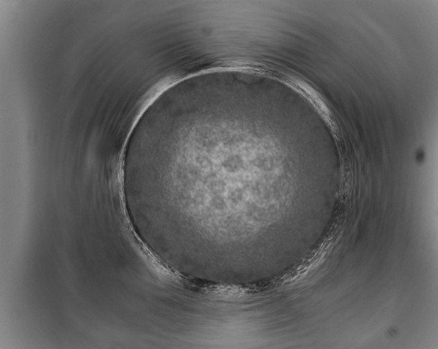 X0000100190907200806061255