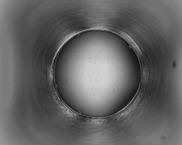 X0000100190908200806061255