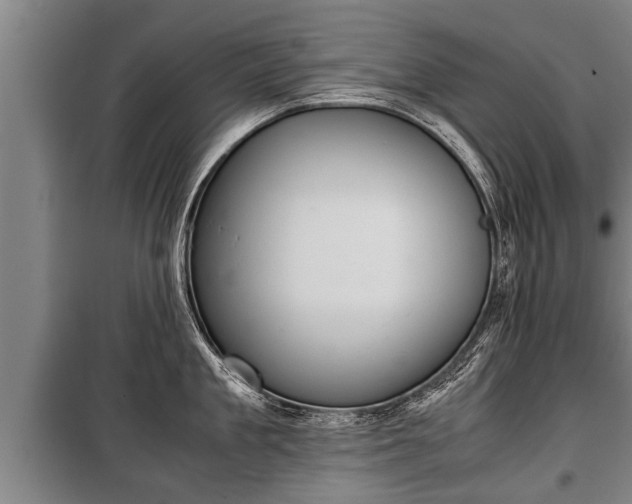 X0000100190909200806061255