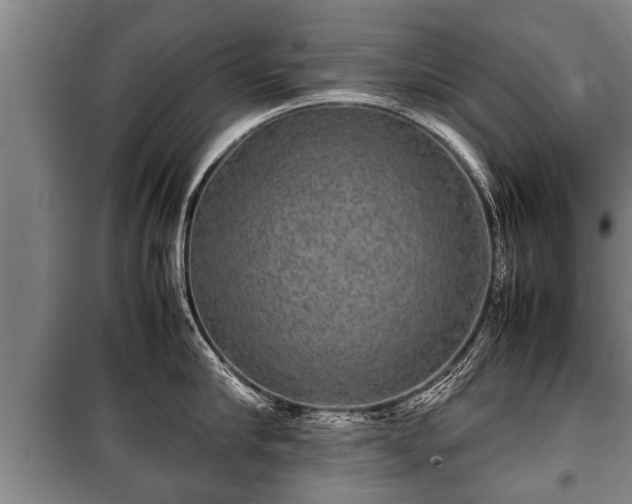 X0000100190910200806061255