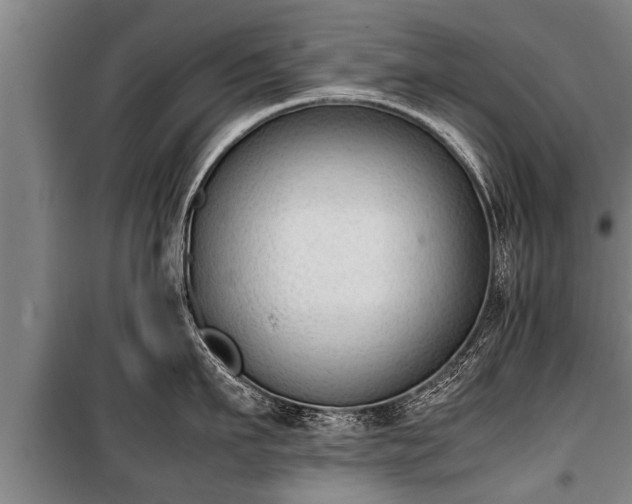 X0000100190911200806061255