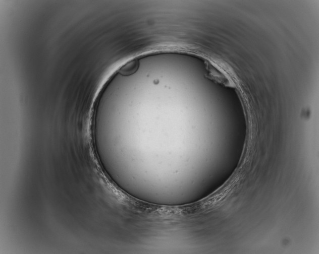 X0000100190912200806061255