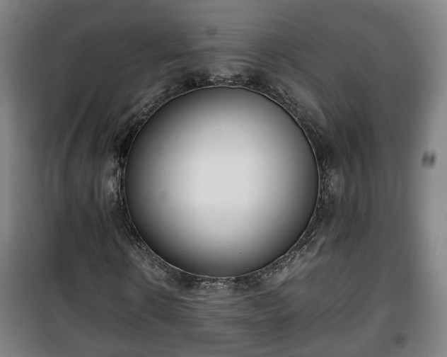 X0000100190914200806061254