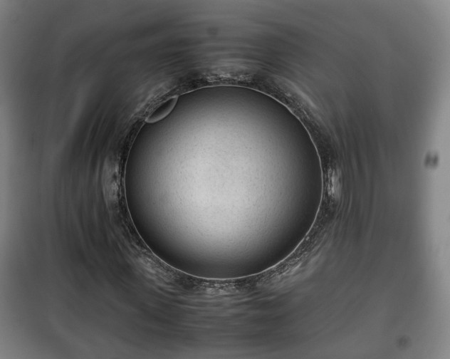 X0000100190915200806061254