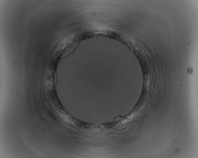 X0000100190916200806061254