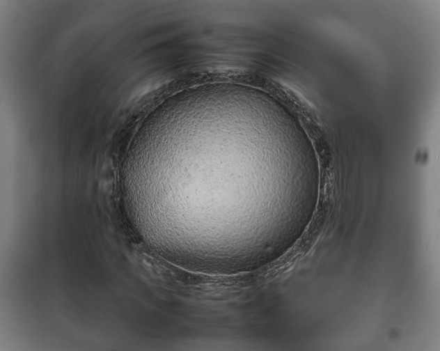 X0000100190917200806061254