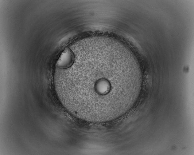 X0000100190918200806061254