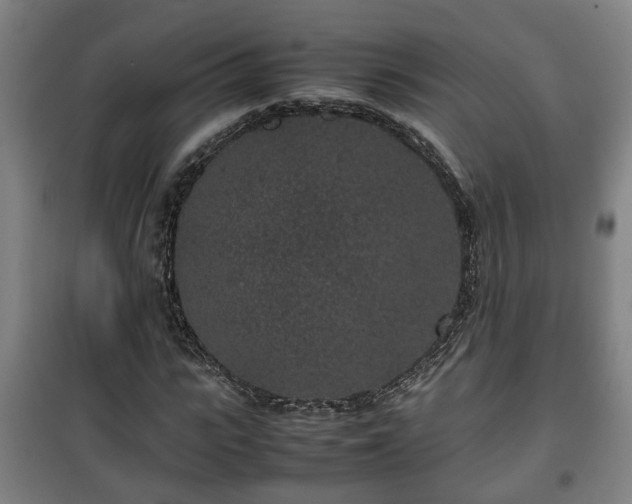 X0000100190919200806061255