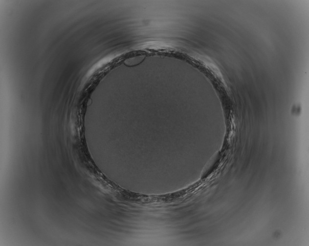 X0000100190920200806061255