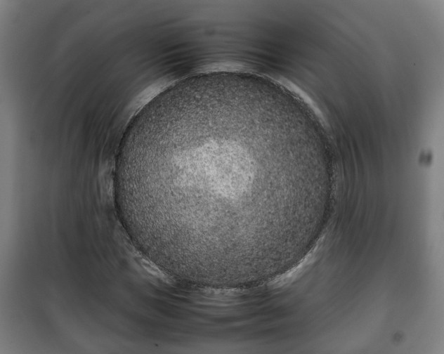 X0000100190921200806061255