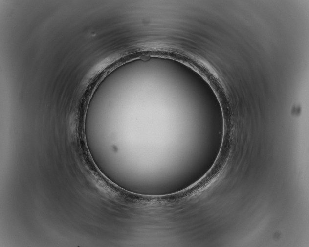 X0000100190922200806061255